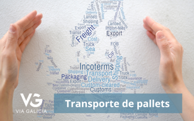 Transporte de pallets a nivel nacional e internacional: ¿Qué debes saber?